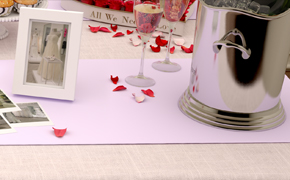 david's bridal banner